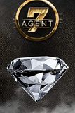 Agent 7