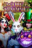 White Rabbit