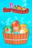 3 Capybaras