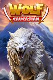 Caucasian Wolf